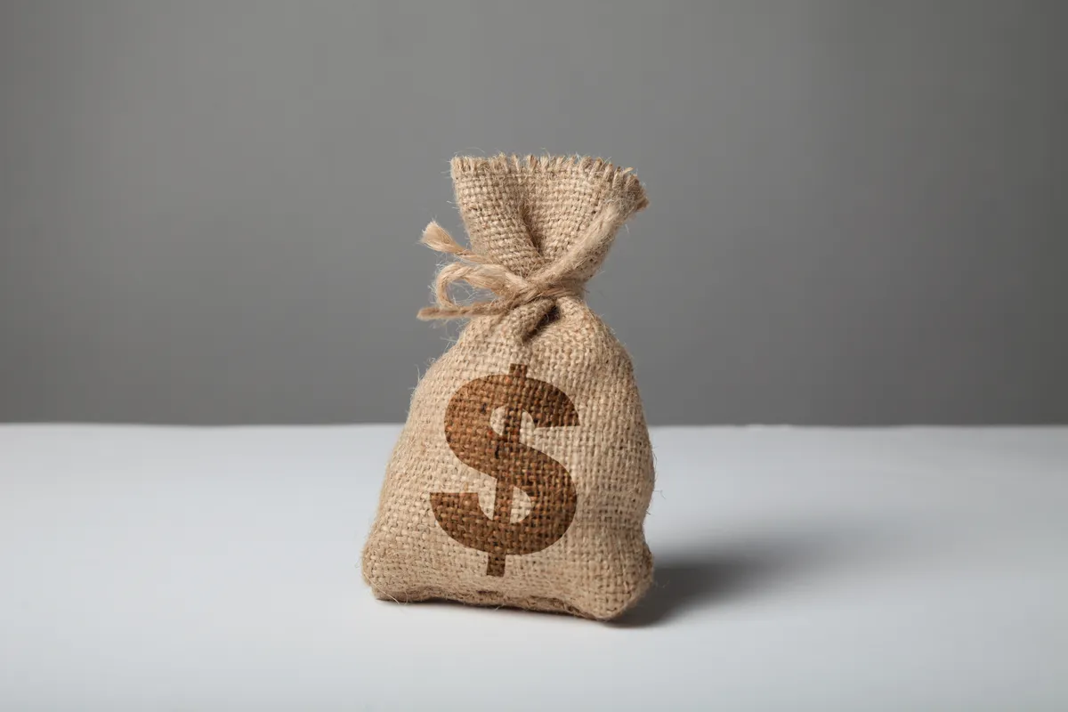 arafed bag of money with a dollar sign on it