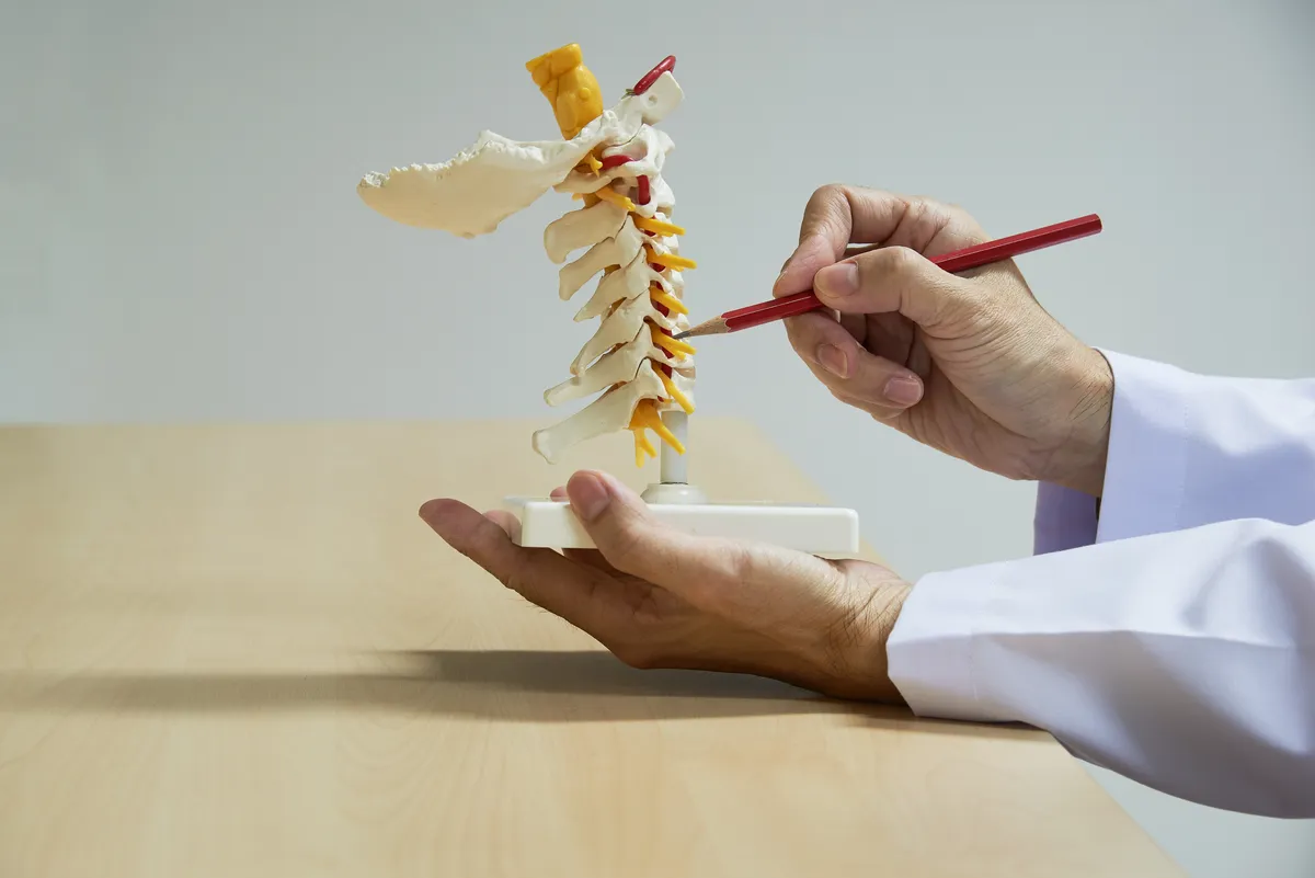someone is holding a pencil and a model of a human skeleton